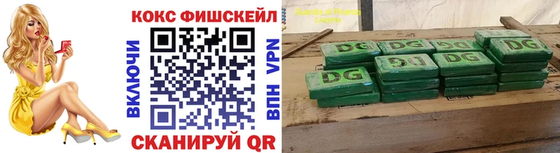 Кокаин FishScale  продажа наркотиков  Николаевск 