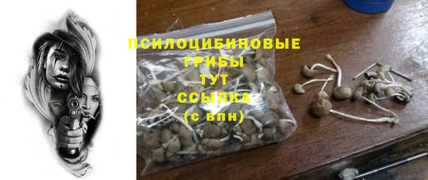 прущая мука Алексин