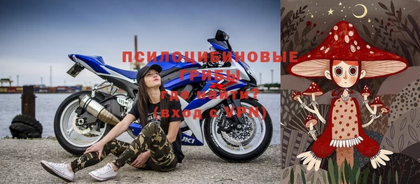 мяу мяу кристалл Гусь-Хрустальный